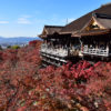 【紅葉】清水の舞台を彩る紅葉は超圧巻！京都、清水寺